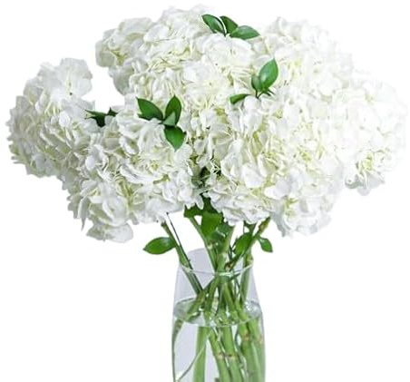 Bouquet de Hortensia Blanca con 10 Flores Naturales de Alta Duración