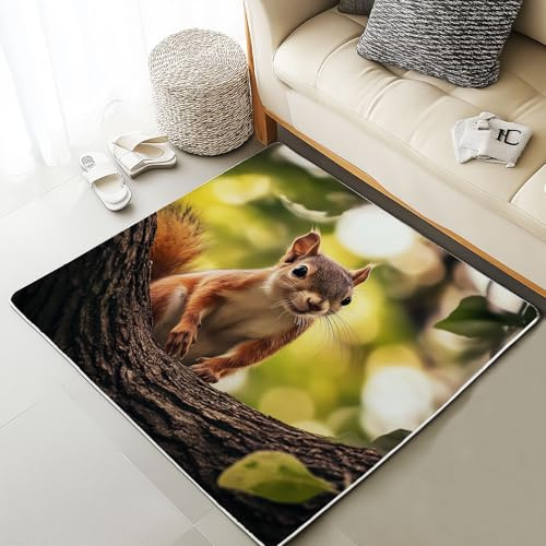 Xuxangti Cute Squirrel Area Rug for Bedroom, Woodland Animal Rug 6x9 for Living Room, Wild Rodent Carpet Non Slip Low Pile, Room Decor Rug, Soft, Machine Washable