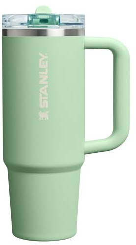 Stanley Quencher ProTour Flip Straw Tumbler | Leakproof Lid, 30 oz, Built-In Straw & Handle, Cup Holder Compatible, Insulated Stainless Steel, BPA-Free, Pistachio