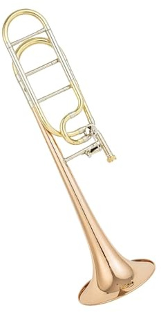 Posaunensatz B/F Posaune Advanced Phosphor Kupfer Material Stimme Professionelles Blechblasinstrument Mit Koffer Goldlack