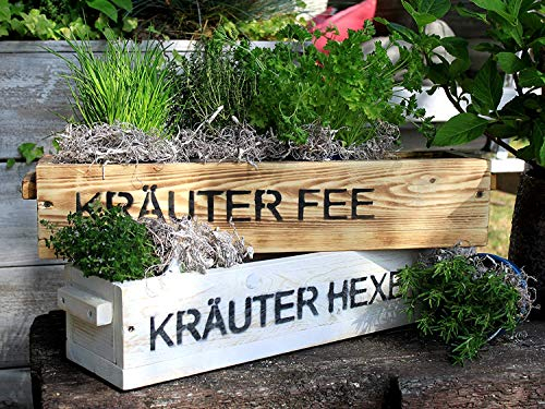 dekorie Jardinière en bois massif - Boîte de rangement blanche ou flammée - Shabby avec impression (sorcière flammée/herbe)