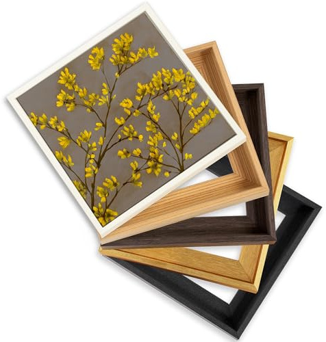 CANFRAVAS 12x12 Solid Wood Canvas Floater Frame, Wood Canvas Floating Frame, Floater Frame for 0.6-0.8 Deep Canvas Paintings (12x12, Black)