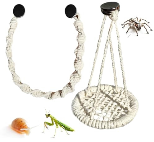 Zubehör Für Spinnenterrarium,Aufhängbare Seilschaukel Für Terrarien,Dekoration Für Springspinnen - Für Geckos, Eidechsen, Einsiedlerkrebse Und Terrariumzucht Für Zuhause