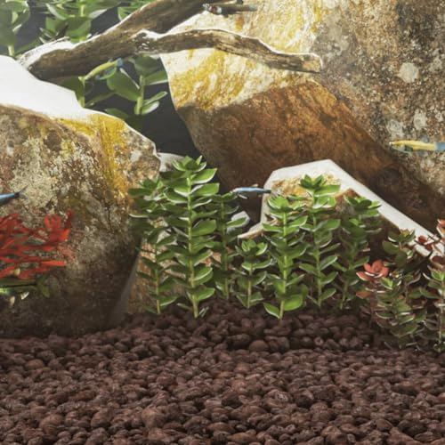 ZEYUAN Lavagranulat 10 kg Rot 5-8 cm, Aquarium Deko, Aquarium Steine, Soil Aquarium - 155315