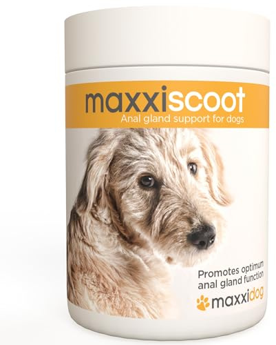 maxxiscoot Drüsenunterstützung Hunde - Drüsen- & Darmgesundheit Pulver 140g | Unterstützt festen Kot, angenehmen Stuhlgang, natürliche Entleerung und täglichen Komfort
