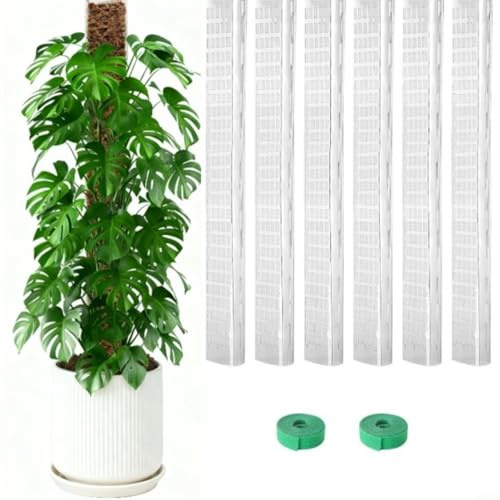 TONIXY Set di pali in plastica per muschio di sfagno Monstera, 61 cm, a forma di D, per piante rampicanti, supporto verticale, accessorio da giardino (6 pezzi)
