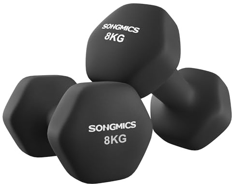 SONGMICS Kurzhanteln 2er Set Hanteln Hexagon Neopren Beschichtung Krafttraining Workout Fitness Training Zuhause