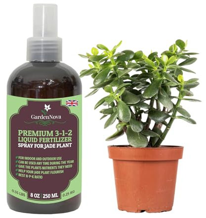 Professional Jade Plant Spray Fertilizer Mist for Home Gardening | 3-1-2 Gentle Blend Mist for Healthy Leaves & Growth | Essential Nutrients for Jade Plants - 8oz
