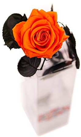 Rosen-Te-Amo, regalo dia de la madre | rosa eterna preservada naranja | caja regalo con design refinado || flores naturales domicilio | decoracion hogar | regalos originales para mujer