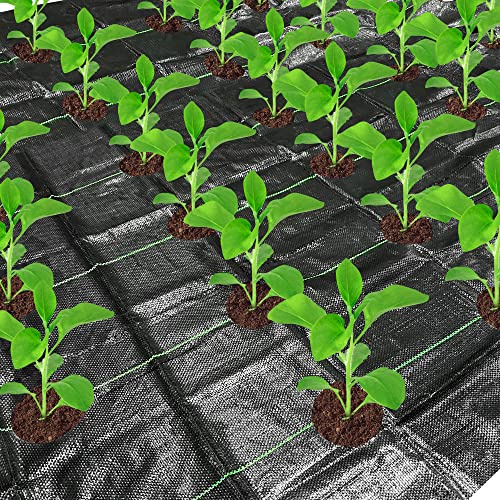 codree 26 x 6.5 Ft Garden Weed Barrier Landscape Fabric with Planting Holes- Heavy-Duty Garden Weed Control Barrier- Weed Block Gardening Mat with 10 Ground Nail for Outdoor Garden