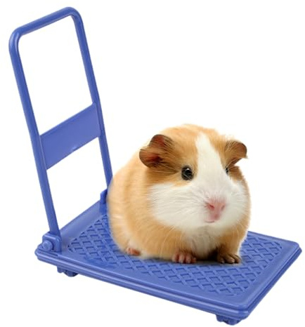 Giocattoli per criceti – Carrello interattivo con ruote – Forniture per criceti | per roditori animali domestici bambini casa gioco gabbia foto puntelli