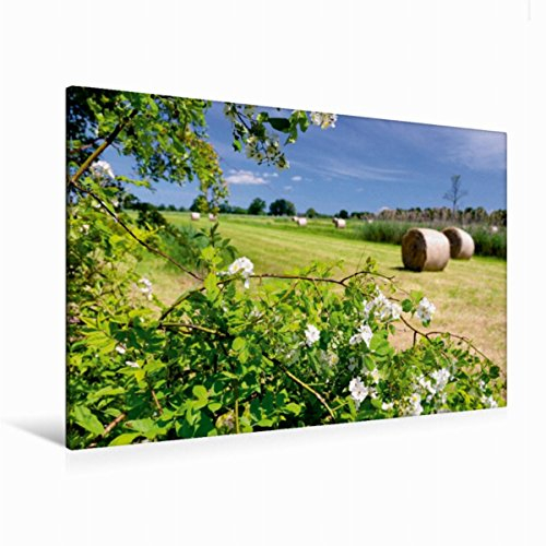 Premium Textil-Leinwand 120 x 80 cm Quer-Format Wiesen am Marschbahndamm in Kirchwerder, Hamburg | Wandbild, HD-Bild auf Keilrahmen, Fertigbild auf hochwertigem Vlies, Leinwanddruck von Christian Ohde