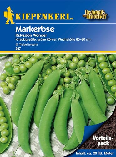 Kiepenkerl Markerbsensamen Kelvedon Wonder 267 - Gemüsesamen für roubuste, niedrigwachsende Erbsen mit einer Wuchshöhe von 60 bis 80 cm - Saatgut, Gemüsepflanzen