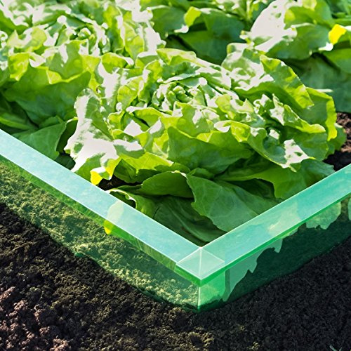 EXCOLO 32 m Schnecken-Barriere 4 Rollen je 8 m Schneckenschutz Schneckenzaun Schneckensperre Schneckenstopp Schneckenabwehr Schneckenschutzzaun für Salat Gemüse Beete giftfrei PET-Folie