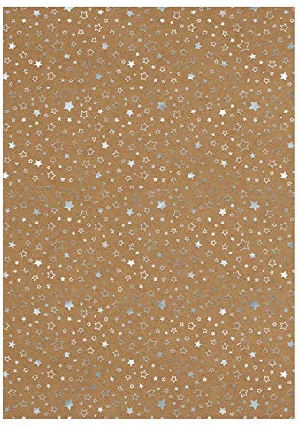 Ursus 62264605F - Designkarton Weihnachten, silberne Sterne, DIN A4, 25 Blatt, 250 g/qm, einseitig folienveredelt, ideal für weihnachtliche Kartengestaltung und kreatives Basteln