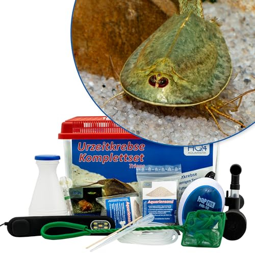 Triops mauritanicus (grün) Premium Komplettset 6 l Aquarium, Eier, LED | Enthält ca. 200 Urzeitkrebs-Eier, 6 l Aquarium, LED, Filter, Luftpumpe, Heizung, Futter, Zubehör, Anleitung, Triops züchten
