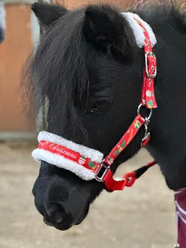 Pferdehalfter Führstrick Set mit Weihnachtsdruck Rot Full-Mini Shetland Rot (Full)