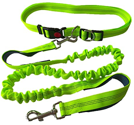 QitinDasen Grün Freihändige Hundeleine, Verstellbarer Hüftgurt und Dual Griffen Dehnbare Bungee-Leine, Jogging Hundeleine mit Reflektierenden Nähten (Grau Griff)