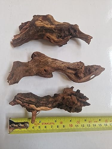 Lincolnshire Pond Plants Ltd - Bogwood, Rocks and PadsTropical Live Aquarium Plants (3 Small Bogwood (Driftwood))