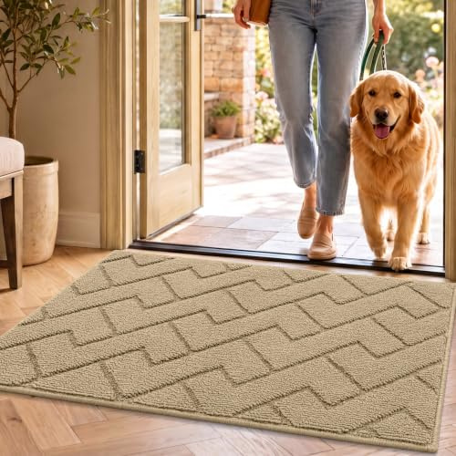 Biscpro Fußmatte Innen Außen Waschbar eingangsteppich innen Schmutzfangmatte rutschfest,Türmatte Innen Teppich für Eingang, Patio, Flur, Garten, Innen und Außen (Beige, 50x80cm)