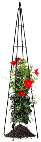 Treillis de jardin pour grimpantes – Tour d'escalade pour tomates de 160 cm | Treillis pour en pot, pour vignes, cultures, fleurs, légumes, intérieur ou extérieur, terrasse, cour
