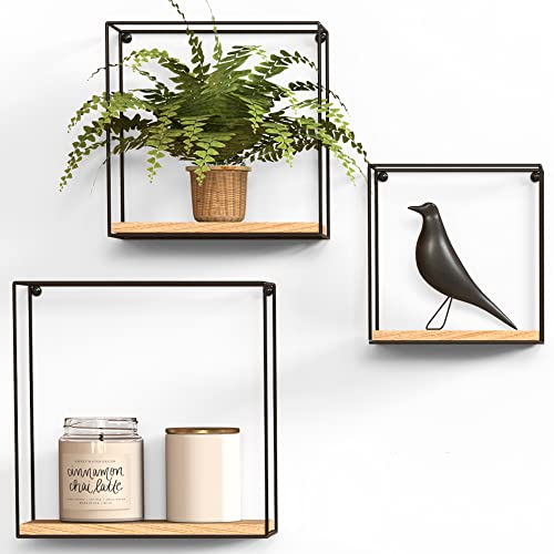 Gadgy Wandregal 3er Set - Schweberegale aus schwarzem Metall mit Holz - Wanddeko Regale für Wohnzimmer, Flur, Küche & Schlafzimmer
