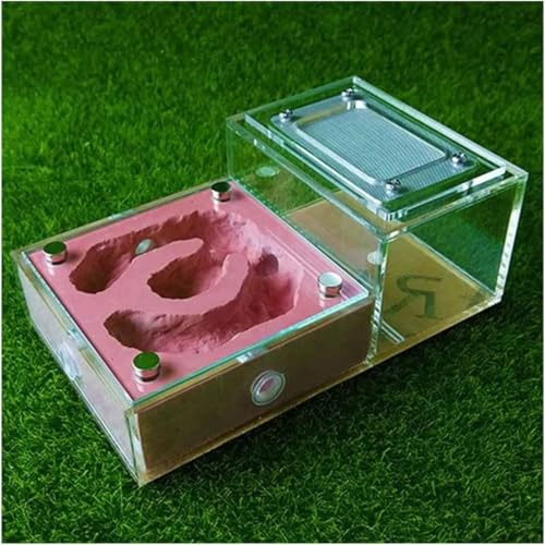 ININOSNP Acrylsäure-Ameisennest-Burg Bionisches Acryl-Flachglas-Gips-Ameisenfarm-Werkstatt-Ameisenhaus-Box Ökologisches Haustier-Ameisenhügel-Ameisennest-Geburtstagsgeschenk(Red-2)