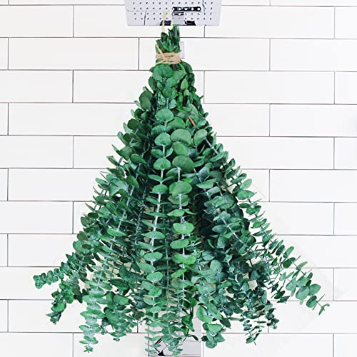 10Pcs Dried Eucalyptus Stems for Shower 17 Real Natural Hanging Eucalyptus Stems, Real Fresh Leaves Branches for Vase Filler, Wedding, Bathroom Decor, Home Decor, Dried Flowers Arrangement Decor