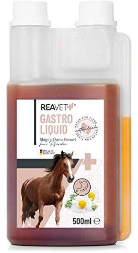 ReaVET Gastro Liquid für Pferde 500ml – Darmsanierung Pferd I Unterstützt die Darmflora & natürliche Darmregulierung - sekundierend bei Durchfall oder Blähungen