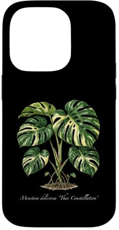 Monstera Thai Constellation plant illustration Case for iPhone 14 Pro