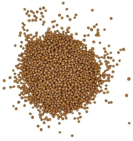Moutarde jaune graines 500 g | Graines de moutarde pour moutarde maison et recettes