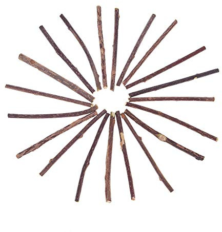 WMFASBAG Bâtonnets de collations aux Fruits naturels Matatabi pour Chat, 20 pièces, Herbe-aux-Chats, Tige molaire pour Chat