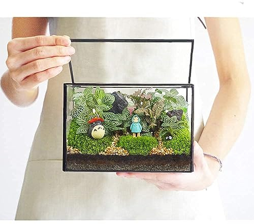 Terrario Rectangular para Plantas pequeñas con Tapa, Maceta Transparente geométrica Negra, Caja pequeña de Vidrio para decoración de Mesa, 6.7 x 3.9 x 4.7 Pulgadas