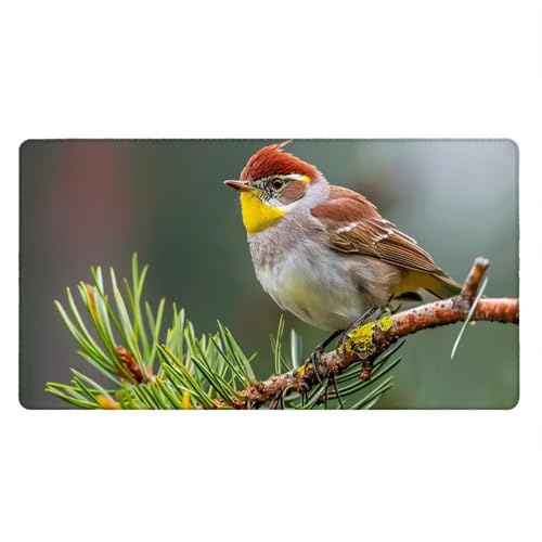 Tappetino Mouse Gaming XXL, 2000x1000x3mm Grande Tappetino Scrivania Cuciti Base in Gomma, Mouse Pad Impermeabile Antiscivolo, PC Desktop Ufficio, Migliora Precisione Velocità (Albero Uccello) xR7-757
