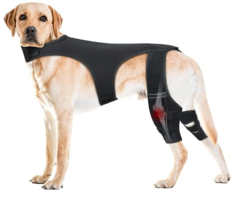 Gihioue Hunde Hüftbandage | Einstellbare Gelenkmanschette,Mit 4 Metall Stabilisatoren Zur Hüftunterstützung,Für Spaziergänge Übungen Outdoor Aktivitäten Park Reisen Und Zuhause
