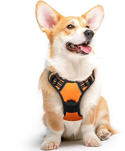Eagloo Harnais Chien, Harnais Anti Traction pour Chien Réfléchissant Réglable, Facile à Mettre, avec Poignée Contrôle, Arnet pour Chiens Solide Respirant, Harnet pour Chiens Moyen et Grand, Orange, M
