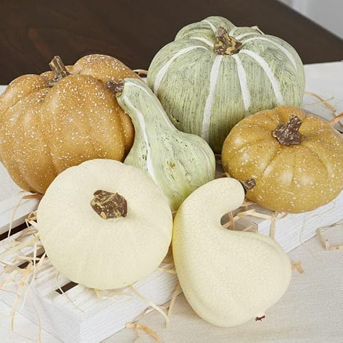 Factory Direct Craft Artificial Mixed Botanical Pumpkins and Gourds for Fall Decorating and Displays