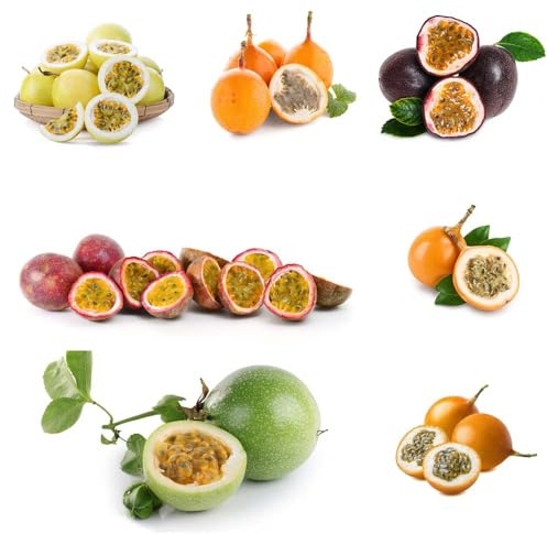 maracuja - maracuja säulenobst kletterpflanzen winterhart indoor garten hochbeet zimmerpflanze stauden bonsai topf obstpflanzen bio obstsamen 160samen
