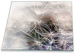 decorwelt Herdabdeckplatte Abdeckung Ceranfeld Abdeckplatte Schneidebrett 1-Teilig 60x52 Pusteblume Grau Spritzschutz Glasplatte Ceranfeldabdeckung Schutz Herdschutz Sicherheitsglas Glasschneidebrett