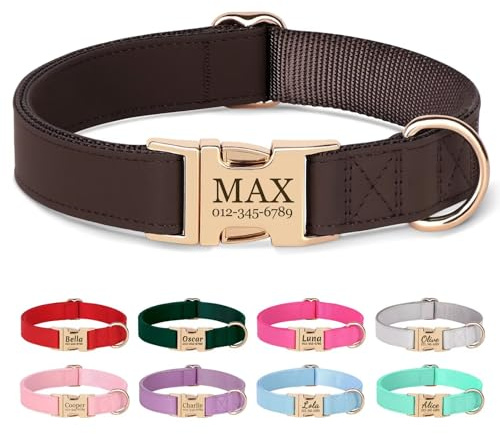 PET Artist personalisierte weiche Nylon Leder Hundehalsband stilvolle Elegante benutzerdefinierte Goldschnalle für kleine mittlere Hunde Kaffee L