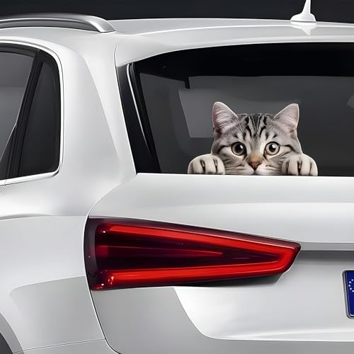 ZenithBurst 2 Stück Lustige Graue Katze Autoaufkleber – 6 Zoll Vinyl Katzensticker, Wasserdicht, Die-Cut für Auto, Heckscheibe, Laptops – Grau