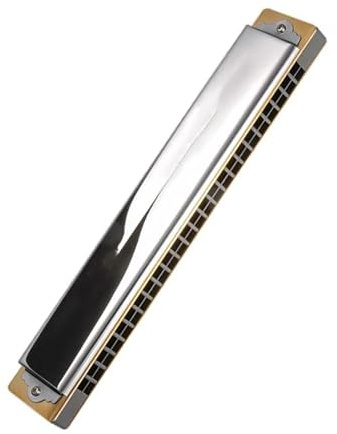 24-Loch C Key Vibrato Mundharmonika Messing Reed Blues Harp ABS Kamminstrument Silber(B)