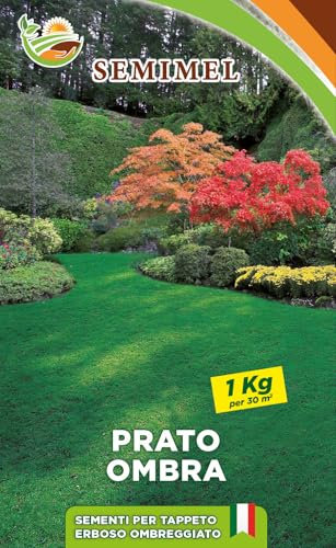 Prato Ombra - Miscuglio per Zone Ombreggiate, Terreni Freschi e Acidi, 1 kg di Semi 2 confezioni