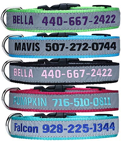 Personalisiertes Hundehalsband Mit Gestickter ID, Name & Telefonnummer - Breakaway Reflektierendes Halsband in 4 Größen: XS, S, M, L