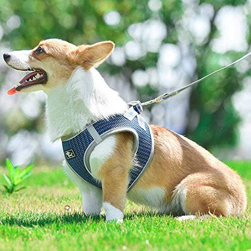 feiling Hundegeschirr Kleine Hunde Step-in Katzen-Geschirr Verstellbare Brustgeschirre Mittlere Hunde Atmungsaktiv Welpengeschirr Reflektierende mit 1.5M Hundeleine Führleine (XS, Blau)