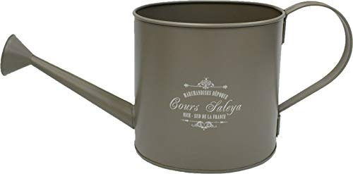 Rammento Arrosoir rétro en métal de couleur pastel 3 litres pour décoration d'intérieur
