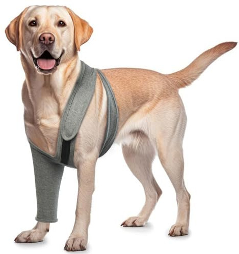 ROZKITCH Protector de codo de perro para pierna delantera derecha izquierda, protector de rodilla para evitar lamer heridas, codo y rodilla, traje de recuperación de perro, alternativa para esguinces