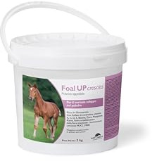 NBF Lanes | Foal UP Crescita Horse - Mangime per Il Normale Sviluppo del Puledro con Glucosamina e Vitamine Essenziali per Cavallo