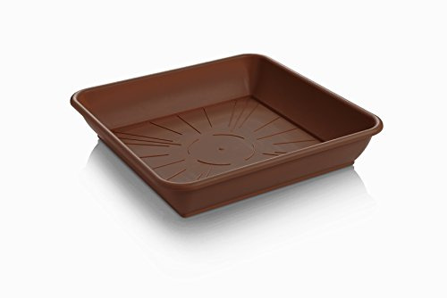 Quattro rectangulaire marron Soucoupe à pot de fleurs carré en plastique Gr. 2