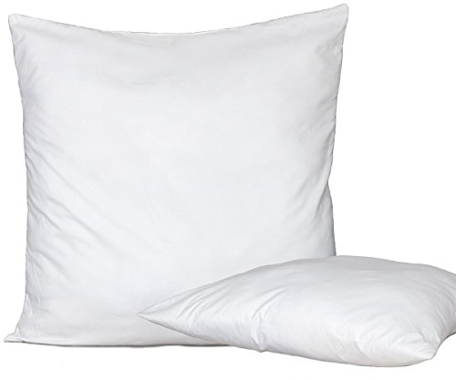 Set 4 Pezzi Anima Imbottitura anallergica per Cuscini Divano, Poltrona, Letto da Rivestire in Tre Misure (40 x 40)